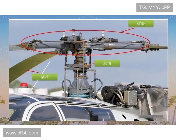 直升机旋翼系统的动平衡调整