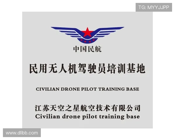 轻型飞机在初级飞行执照培训中的表现